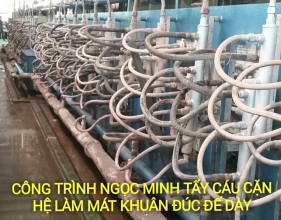 TẨY CÁU CẶN HỆ TUẦN HOÀN TRAO ĐỔI NHIỆT