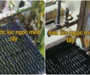 TẨY CÁU CẶN CHO THÁP GIẢI NHIỆT . 