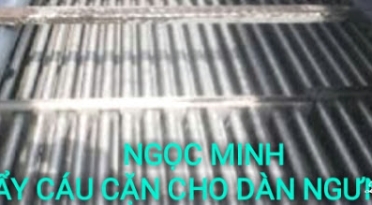 TẨY CÁU CẶN CHO DÀN NGƯNG TỤ